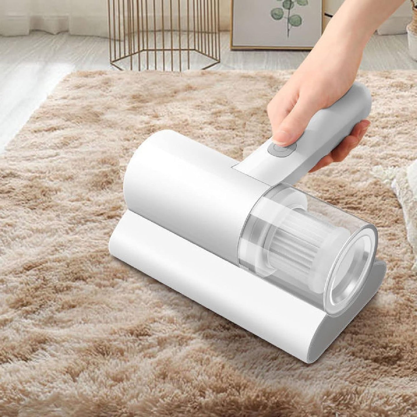 Mite Remover & Vacuum Cleaner – Clean Your Bed